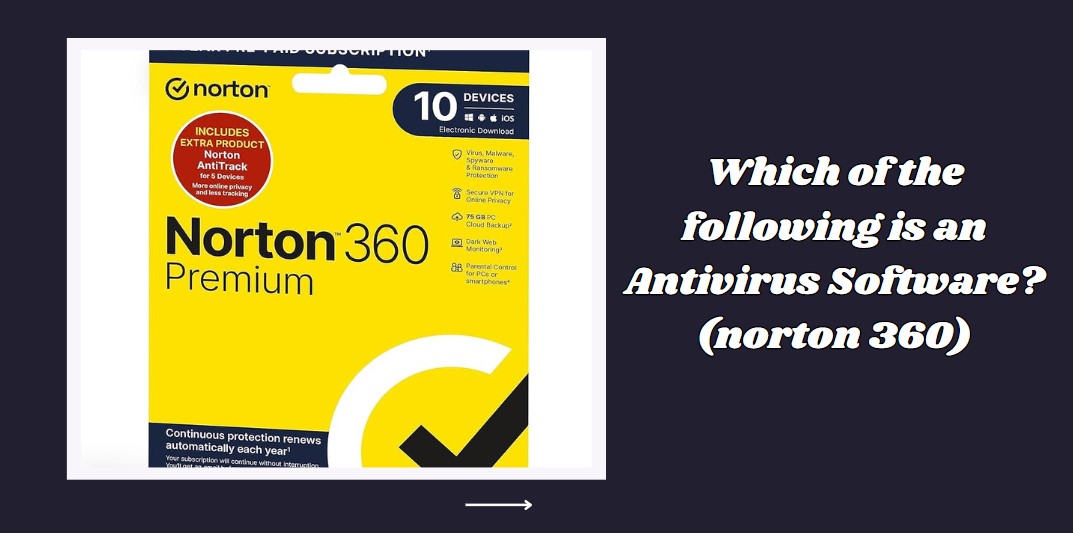 Which of the following is an antivirus software? (norton 360)